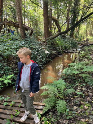 Sint-Martinus den XIIde - september-oktober